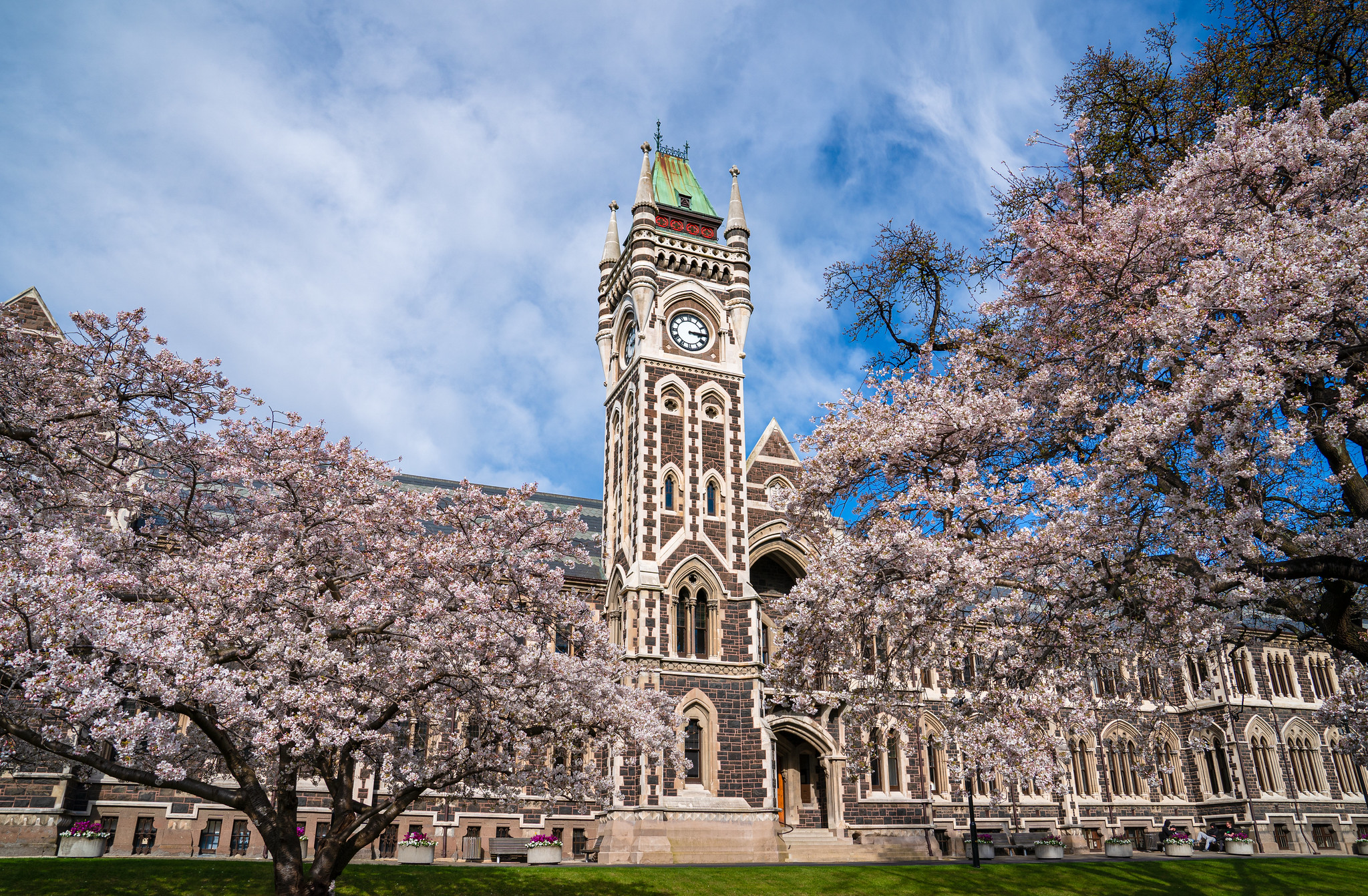 University of Otago ,มหาวิทยาลัยโอทาโก้ ,ปริญญาตรีนิวซีแลนด์